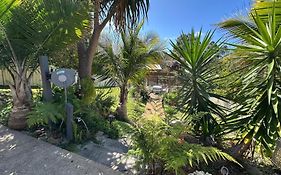 Garden View Homestay Single Ensuite Room